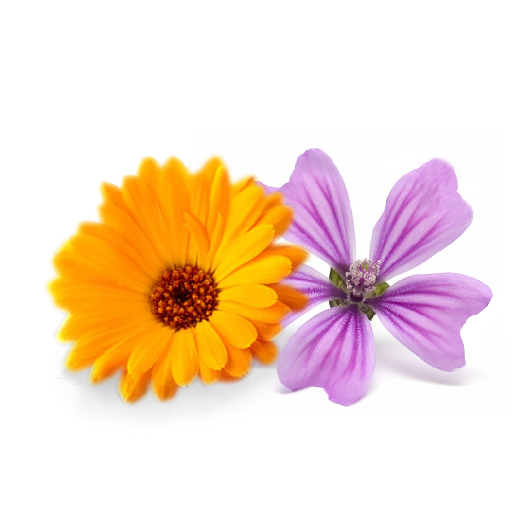 malva y calendula
