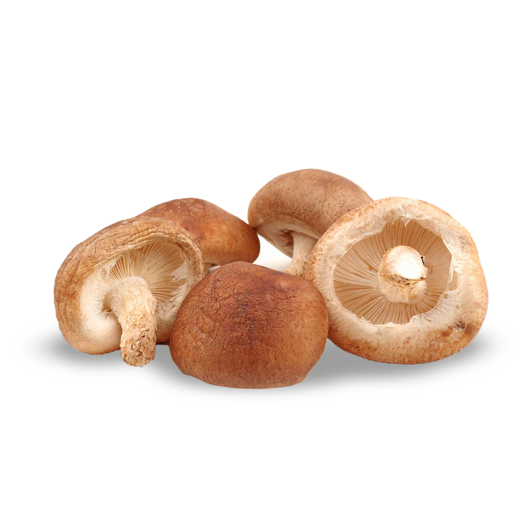 shiitake